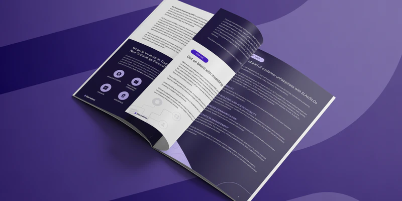 PDFs blameless-brochure 2x1