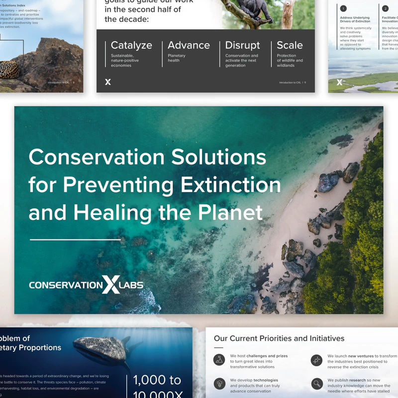 Presentations conservation-x-labs 1x1